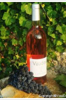 Domaine des Vaudois