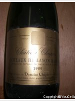 Château Chupin