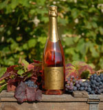 Domaine de Cocteaux - Bulles de Fleuray - Brut