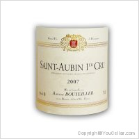 Antoine Bouteiller - 1er cru