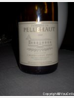 Domaine de Pellehaut Chardonnay Fruit