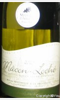 Cave des Grands Crus Blancs - Macon Loché