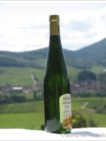 Domaine Philippe Schaeffer