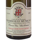Domaine Marchand Frères - 1er Cru - Les Sentiers