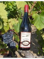 Domaine du Penlois - Lancié