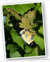 Domaine Poiron Dabin - Expression Poiron Melon
