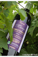Château Courtey - Cuvée Margo