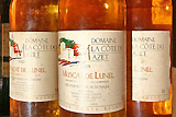 Domaine La Côte du Mazet