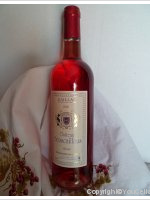 Château Bouscaillous