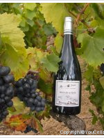 Domaine du penlois