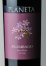 Planeta - Plumbago