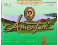 Ameztoi