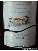 Domaine des Génaudières, Pinot