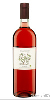 Carpineto