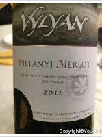 Vylyan - Merlot