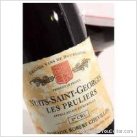 Domaine Robert Chevillon - 1er Cru Les Pruliers