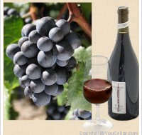 Cave des Tilleuls - Grande Réserve - Merlot