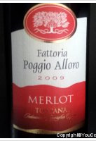 Fattoria Poggio Alloro - Merlot