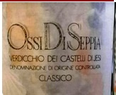 Teresa Rizzi - Ossi di Seppia