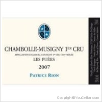 Domaine Michèle et Patrice Rion - 1er cru Les Fuées