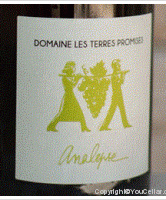 Domaine les Terres Promises - Analepse