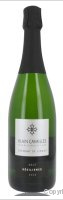 Alain Cavaillès, Brut Résilience