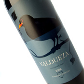 Valdueza