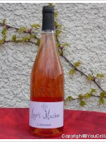 Domaine Leyris Maziere - L'Aiguier
