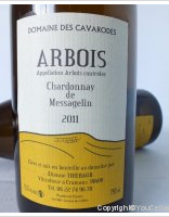 Domaine des Cavarodes - Chardonnay de Messagelin