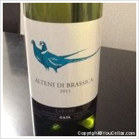 Gaja - Alteni di Brassica 