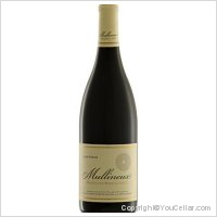 Mullineux - Syrah