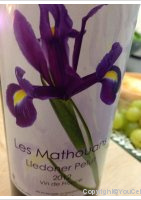 Domaine des Mathouans - Lledoner Pelut