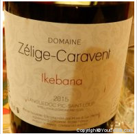 Zélige-Caravent -  ikebana