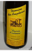 Domaine des Amphores - Sourire d'automne