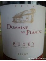 Domaine des Plantaz - Pinot