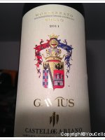 Castello di Gabiano - Gavius