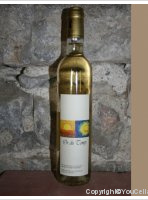 Domaine de Trépaloup - L'or du temps