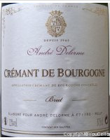 André Delorme - Brut