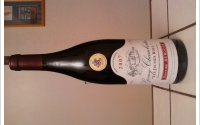 Domaine Duroché - les jeunes rois