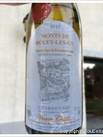 Monts de Bucey -Lès-Gy