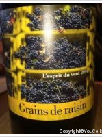 Castelmaure - L'esprit du vent - Grains de raisin