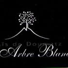 Vignoble de l'Arbre Blanc - Petites Orgues