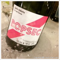 Domaine Bertin-Delatte - popsec
