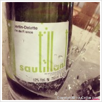 Domaine Bertin-Delatte - sautillant