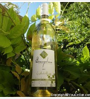 Le Merle Blanc