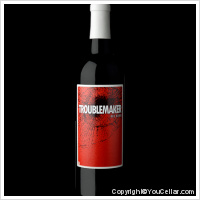 Troublemaker by Austin Hope - Blend 8