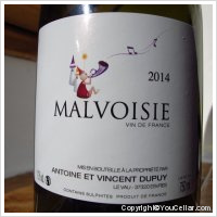 Antoine et Vincent Dupuy - Malvoisie