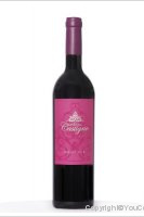 Château Castigno - Merlot