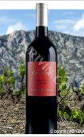 Les Maurynates - Vieilles Vignes Carignan