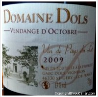 Domaine Dols - Vendange d'Octobre